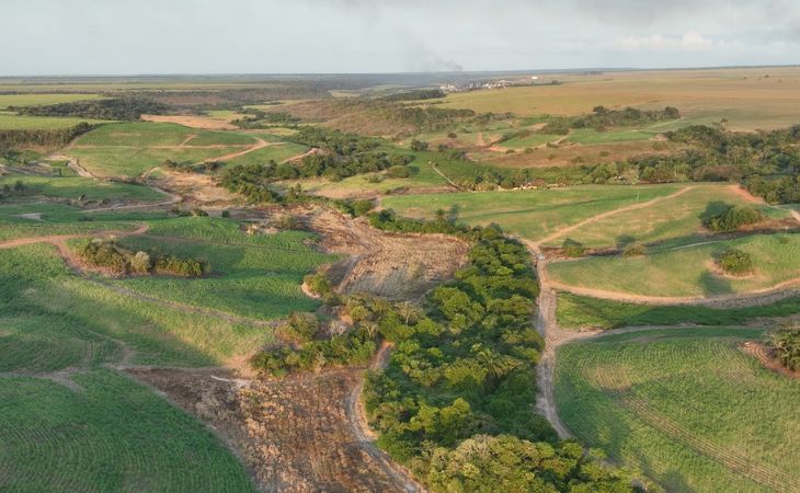 Órgãos constatam desmatamento em cinco municípios da PB