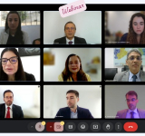 Webinar destaca importância da atuação extrajudicial no velamento das fundações