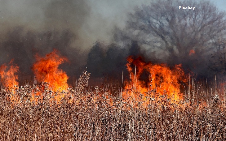 MPPB se une à força-tarefa de combate a incêndio na Serra do Cruzeiro, no Sertão