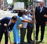 MPPB participa de ação do TJ que reforça o compromisso com a defesa do meio ambiente