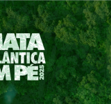 Operação constata desmatamento em 51 hectares e aplica R$ 20 mil em multas, na PB 