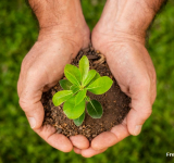 Atuação do MP garante educação ambiental para além transversalidade em Santa Rita 