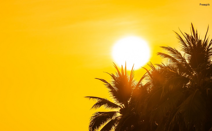 MP-Procon instaura procedimento após cancelamento de data do Fest Verão 