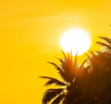 MP-Procon instaura procedimento após cancelamento de data do Fest Verão 