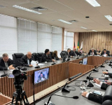 CPJ realiza 1ª sessão do ano, fortalecendo a proteção aos direitos da mulher