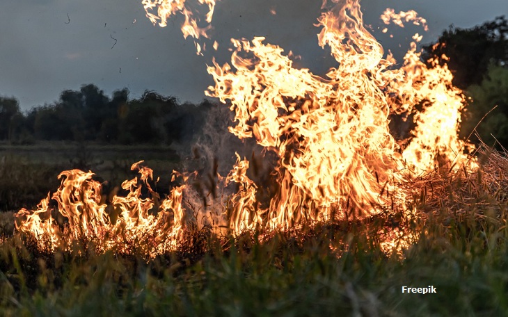 MPPB recomenda medidas para prevenção a queimadas em área de usina, em Cruz do Espírito Santo