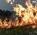 MPPB recomenda medidas para prevenção a queimadas em área de usina, em Cruz do Espírito Santo