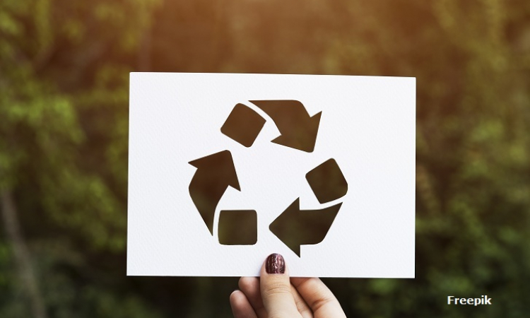 MPPB recomenda priorização de critérios ambientais nas licitações de Santa Rita e Cruz do Espírito Santo