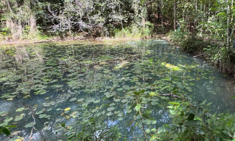 Após atuação do MPPB, Município cria plano para garantir proteção do Rio Tibiri, em Santa Rita