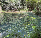 Após atuação do MPPB, Município cria plano para garantir proteção do Rio Tibiri, em Santa Rita