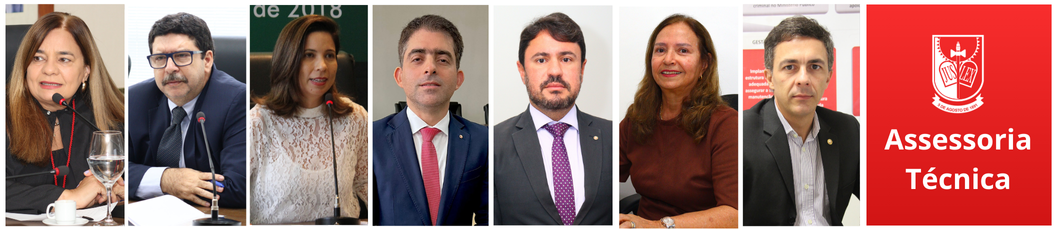 Assessoria Técnica