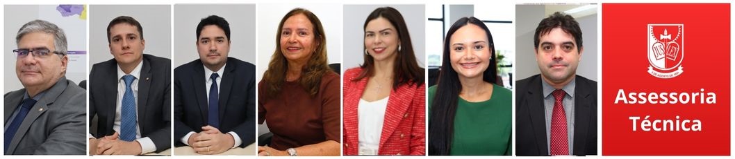 Assessoria Técnica
