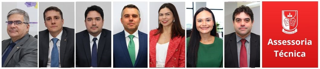 Assessoria Técnica